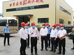 热烈迎接丽水市副市长叶伯军一行光临集团青田铸造基地视察领导