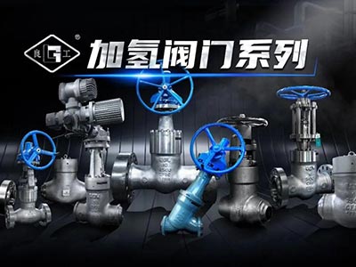 加氢阀门系列-助力工业能源向绿色低碳转型发展