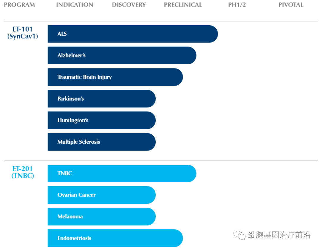 Eikonoklastes基因疗法获得孤儿药认定，有望治疗渐冻症