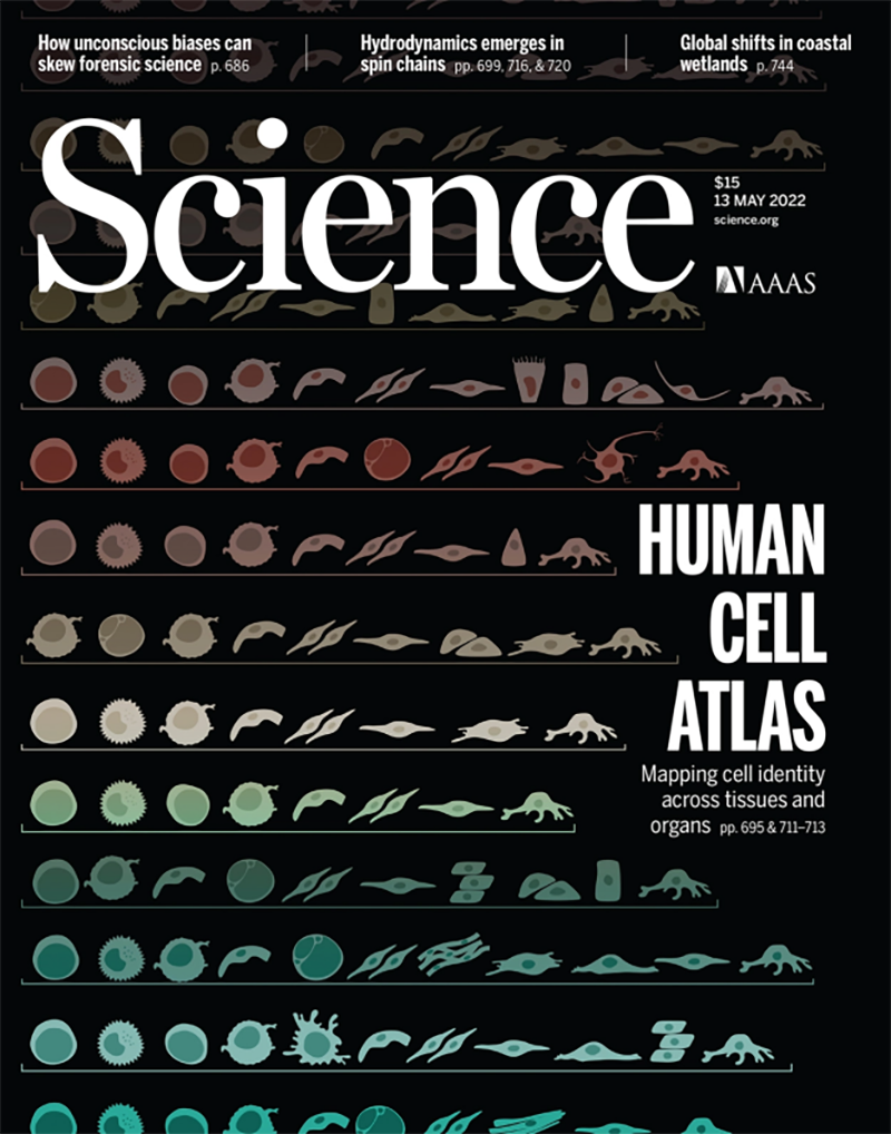 【Science重磅宣布】迄今为止，最周全的跨组织细胞图谱绘成